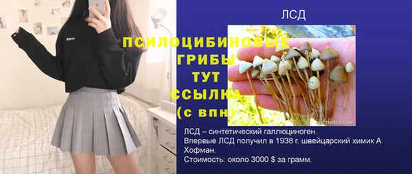 гашик Краснотурьинск
