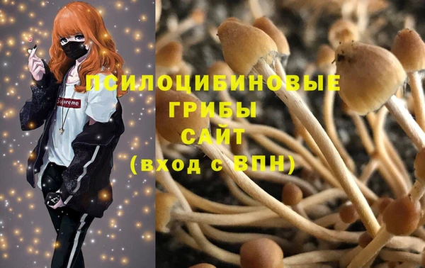 гашик Краснотурьинск
