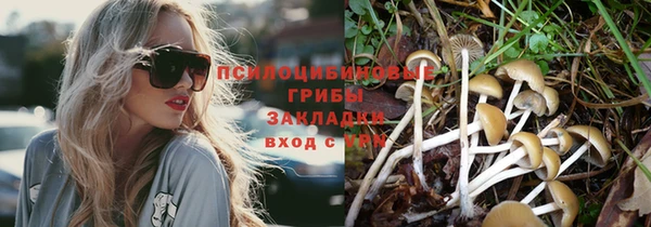 амф Костерёво