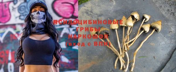 гашик Краснотурьинск
