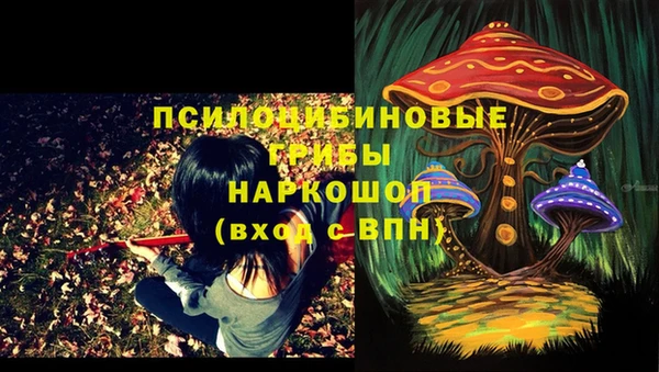 гашик Корсаков