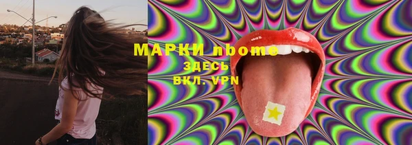 гашик Корсаков