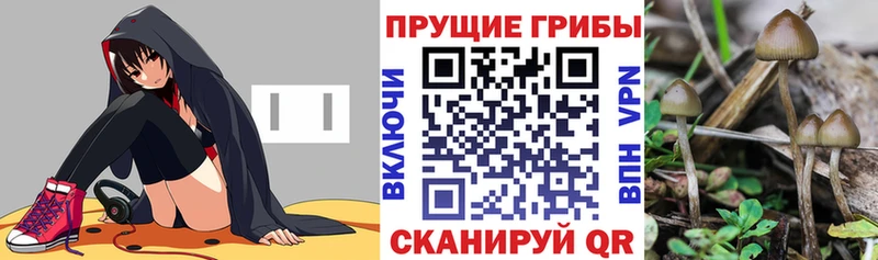 Псилоцибиновые грибы мухоморы  даркнет официальный сайт  Называевск  хочу  